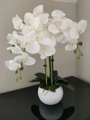 Белые орхидеи в кашпо в интернет-магазине Ярмарка Мастеров по цене 4000 ₽ –  Q3ZPYRU | Композиции, Санкт-Петербург - доставка по России