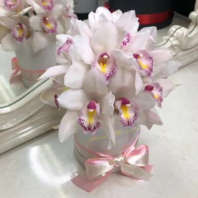 15 белых орхидей в коробке за 4 990 руб. | Бесплатная доставка цветов по  Москве