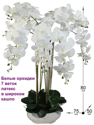 Купить Искусственные Орхидеи 7 веток белые 80см в широком кашпо, ФитоПарк  по выгодной цене в интернет-магазине OZON.ru