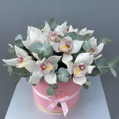 Белые орхидеи в коробочке, Цветы и подарки в Краснодаре, купить по цене  5750 руб, Цветы в коробке в ЦветочNik с доставкой | Flowwow