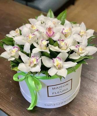 Белые орхидеи в подарочной коробке \"Maison des fleurs\" | Almaflowers.kz
