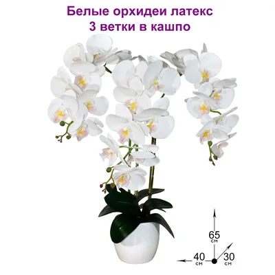 Искусственные цветы Орхидея белая 3 ветки латекс 65см в кашпо ФитоПарк,белые  орхидеи,искусственные цветы в вазе для декора дома - купить по выгодной  цене | AliExpress