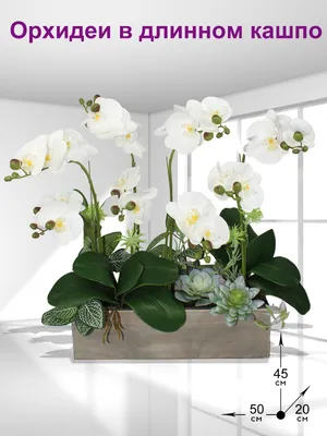 Искусственные цветы Орхидеи белые в деревянном кашпо ФитоПарк для декора  дома,украшение стола,подарок девушке - купить по выгодной цене | AliExpress