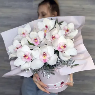 Купить Орхидеи в коробке «ONiO White» в Нижнем Новгороде