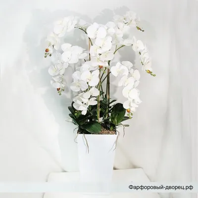 Цветочная напольная композиция \"Белые орхидеи\" – купить в интернет-магазине  в Москве - Ф-331
