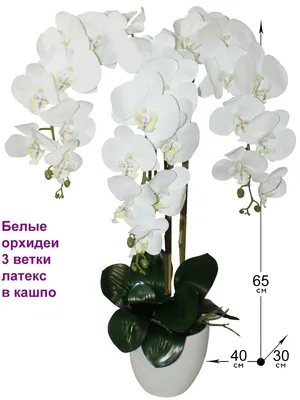 Искусственные орхидеи из силикона в кашпо Фитопарк 34081154 купить за 772  200 сум в интернет-магазине Wildberries