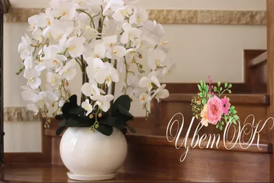 Белые латексные орхидеи, орхидея в горшке, искусственная орхидея в  интернет-магазине Ярмарка Мастеров по цене 7600 ₽ – GG6PRRU | Композиции,  Ставрополь - доставка по России