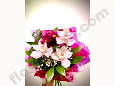 P5 Три белые орхидеи — Цветы СПб