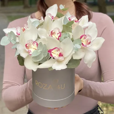 Белые орхидеи с эвкалиптом в серебряной коробке - недорого, с доставкой по  Москве и области | Roza4u.ru