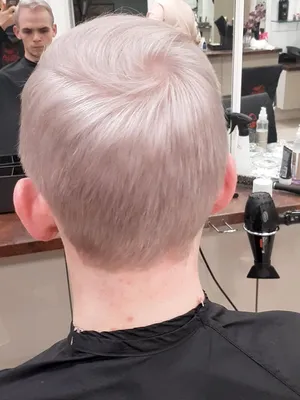 Белые мужские волосы, цены, фото до и после — Салон красоты Wella Элиза