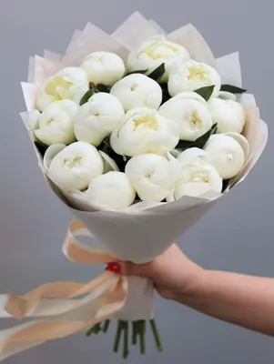 Белые пионы | Flower aesthetic, Beautiful flowers, Flowers photography