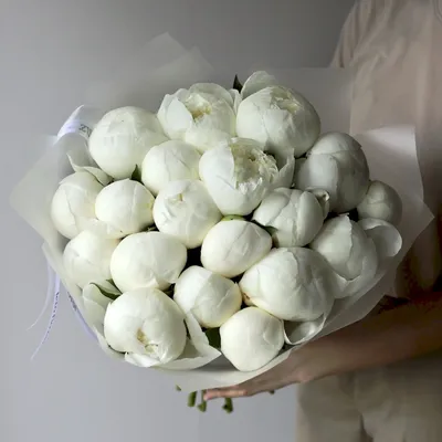 Белые пионы - заказать цветы с доставкой в Москве недорого - UFLOR. 14 150  руб. Арт.: 227115