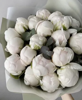 Белые пионы от Lotlike.ru в Москве. Купить цветы.