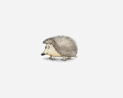 Картинка минимализм, ежик, еж, hedgehog, белый фон 1280x1024 скачать обои  на рабочий стол бесплатно, фото 74264
