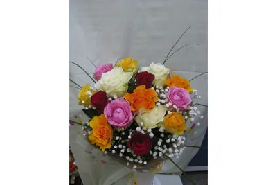 Букет с 15 бр. разноцветни рози с опаковка, аранжирани с гипсофил и берграс