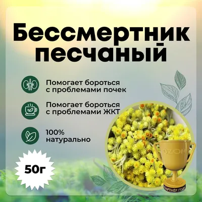 Сироп горный № 5 \"Бессмертник песчаный\" для улучшения работы печени  Алтайские традиции 11799110 купить в интернет-магазине Wildberries
