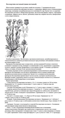 Бессмертник песчаный (трава) Русские корни 25 г | Купить с доставкой по  России