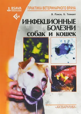 Книга \"Инфекционные болезни собак и кошек. Рэмси Ян К., Теннант Брин\" –  купить книгу ISBN 9785423803537 с быстрой доставкой в интернет-магазине OZON
