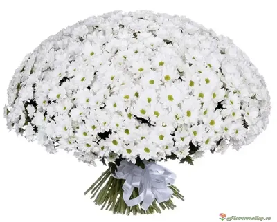 Букет хризантема и гербера – купить с доставкой в Москве. Цена ниже!