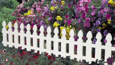 Выбираем декоративный забор для клумб и кустарников | Школа садовода | Дзен