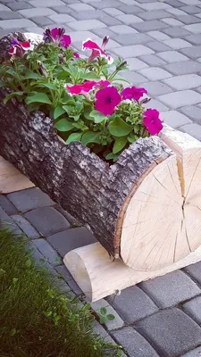 Клумбы из дерева: 7 красивых идей, которые вы можете воплотить  самостоятельно - Дом Mail.ru