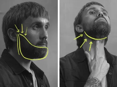 Как создать бороду вашей мечты своими руками | GQ Россия