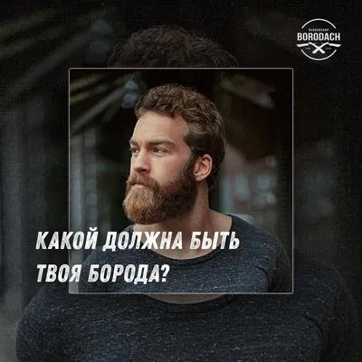 Какой должна быть твоя борода?