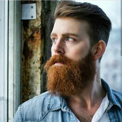 Если плохо растет борода - WizGrease. Органическая мужская косметика и  аксессуары