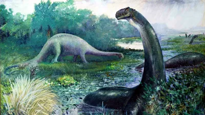 Палеонтологи возвращают бронтозавра