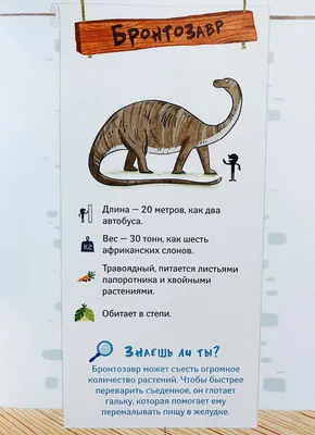 Школа динозавров. Бронтозавр - новенький в классе. - Vilki Books