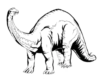 Раскраски бронтозавр, Раскраска Бронтозавр динозавр.
