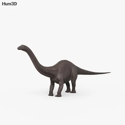С анимацией Бронтозавр 3D модель - Животные на Hum3D