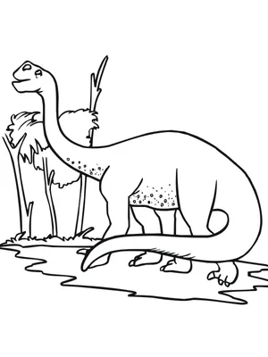 Раскраска «Бронтозавр»