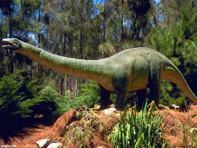 [50+] Бронтозавр фото