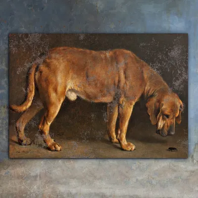 Картина \"Собака Брохольмер, наблюдающая за жуком\" - Отто Бахе