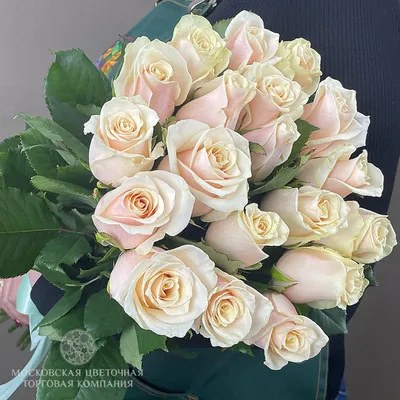 Букет 19 роз Талея купить за 3990 руб. с круглосуточной доставкой по Москве  | Мосцветторг