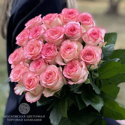 Букет 19 роз Джумилия купить за 4420 руб. с круглосуточной доставкой по  Москве | Мосцветторг