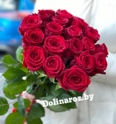 Купить 19 красных роз в Минске с доставкой
