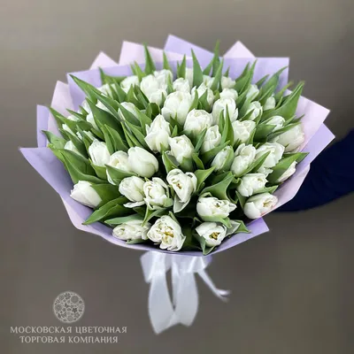 Букет 51 премиум тюльпан, белые купить за 10 250 руб. с круглосуточной  доставкой по Москве | Мосцветторг