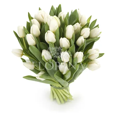 Букет \"23 белых тюльпана\" | Харьков - Florina