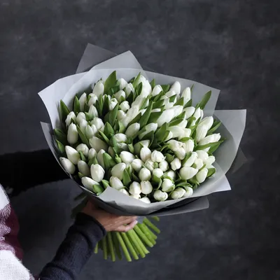 Букет из белых тюльпанов сорта Антарктика | FloralDreams