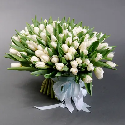 Букет белых тюльпанов 101 шт \"Арктик\" с курьерской доставкой по Киеву от  Камелия