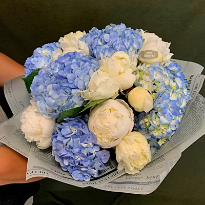 Букет из гортензий и пионов - Доставкой цветов в Москве! 42241 товаров!  Цены от 487 руб. Цветы Тут