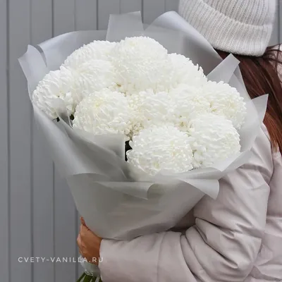 Букет из 5 белых кустовых хризантем и 10 розовых альстромерий купить в СПб  в интернет-магазине Семицветик✿