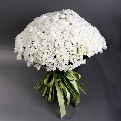 Букет из 51 белых хризантем. Сорт Бакарди | Flowers Valley