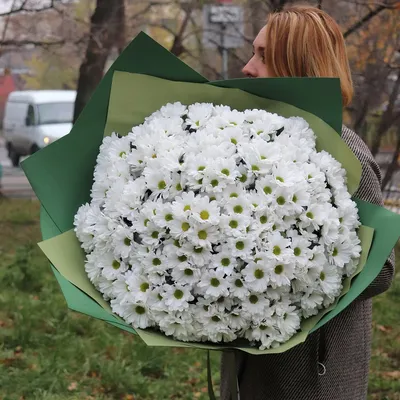 Заказать Букет из 9 белых хризантем - Bloom.by