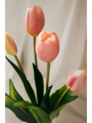 Цветы искусственные тюльпаны для декора дома букет 5шт 40см SMARKER  27829731 купить за 561 ₽ в интернет-магазине Wildberries