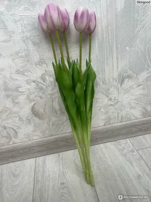 [50+] Букет тюльпанов дома фото