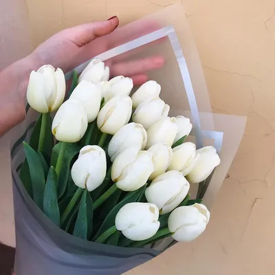 Заказать \"21 белый тюльпан\" в городе Калуга
