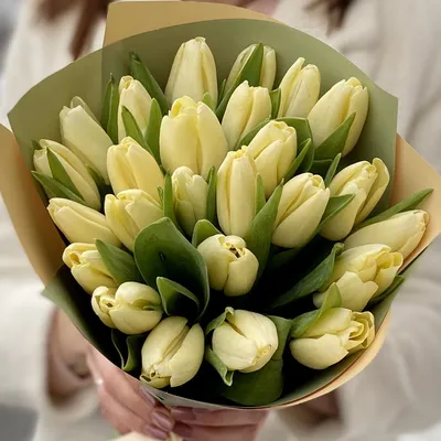 25 кремовых тюльпанов | купить недорого | доставка по Москве и области